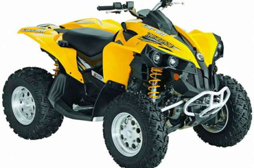 Renegade 800