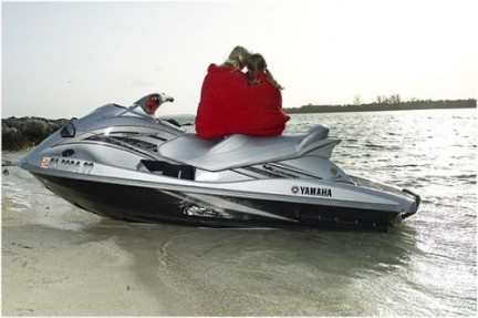 VX Cruiser 2009